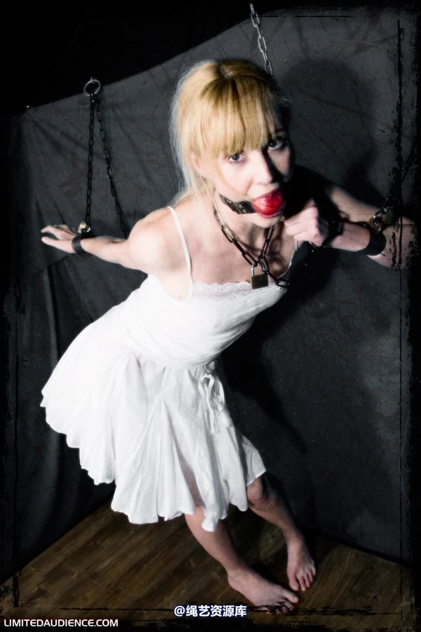 limitedaudience - 2010 ariel the forgotten prisoner 第 2 张图片