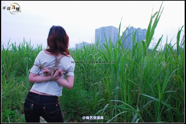千丝万缕 - 2008-04-29-4日 第 55 张图片