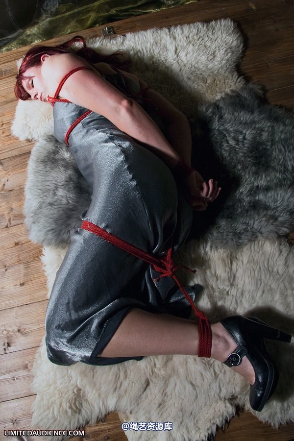 limitedaudience - 2010 scarlett hogtied on rugs 第 17 张图片