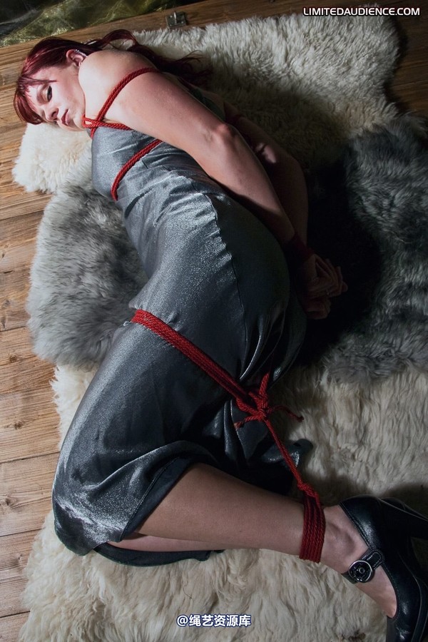 limitedaudience - 2010 scarlett hogtied on rugs 第 18 张图片