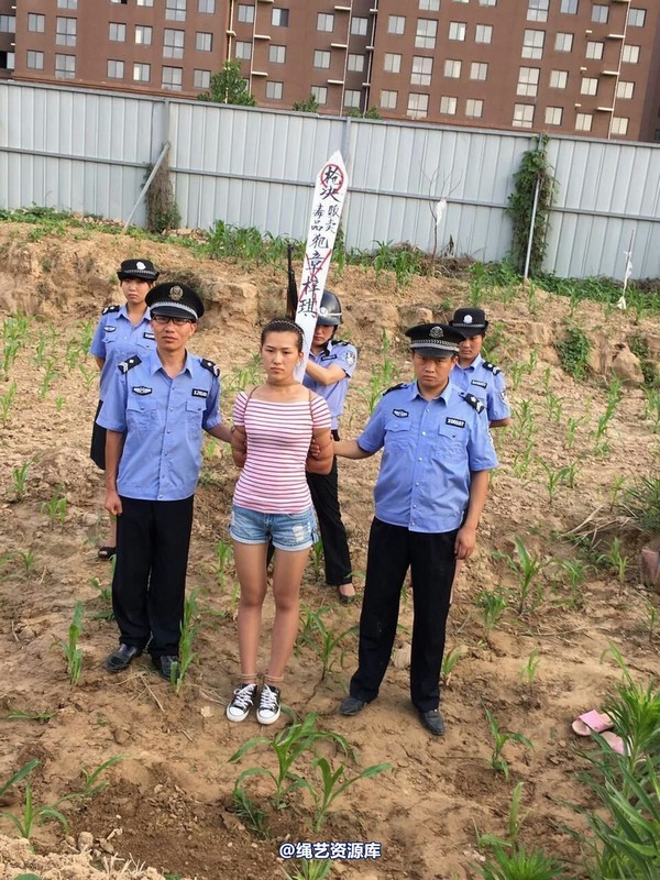 mj影视 - 贩毒女孩紫琪 第 74 张图片