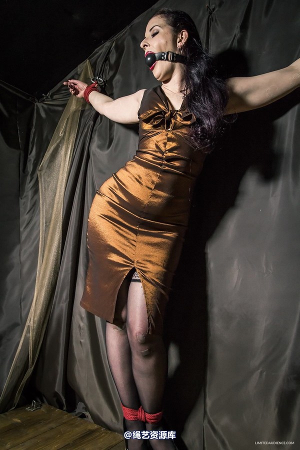 limitedaudience - 2015 caroline pierce bondage in bronze 2 第 28 张图片