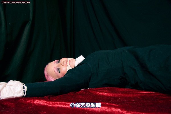 limitedaudience - 2009 assisted suicide internet date 第 18 张图片