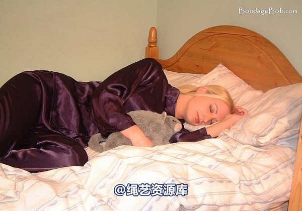 bondagebob - Jessica and Nikki The Cat Burglar 1 第 2 张图片