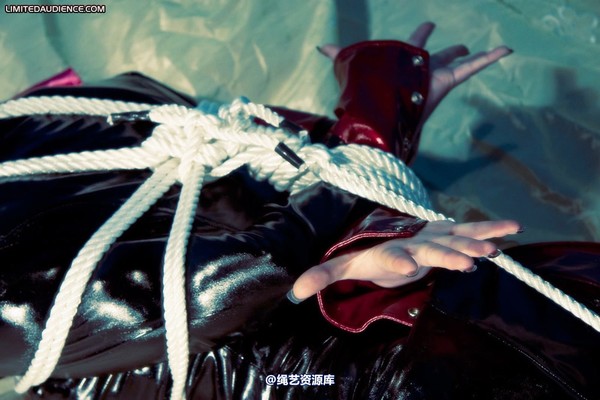 limitedaudience - 2010 jenvy hogtied 第 5 张图片