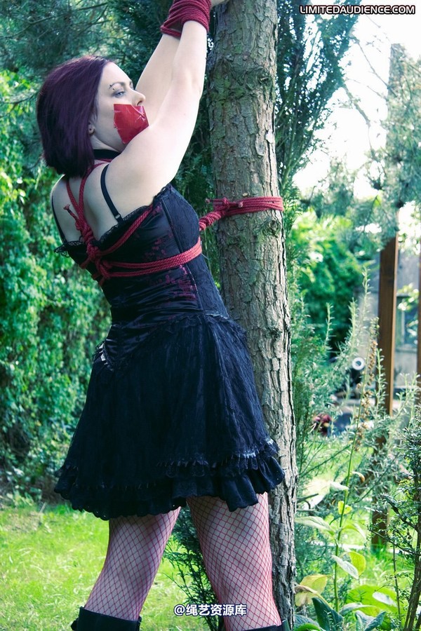 limitedaudience - 2010 carmina and the tree 第 19 张图片