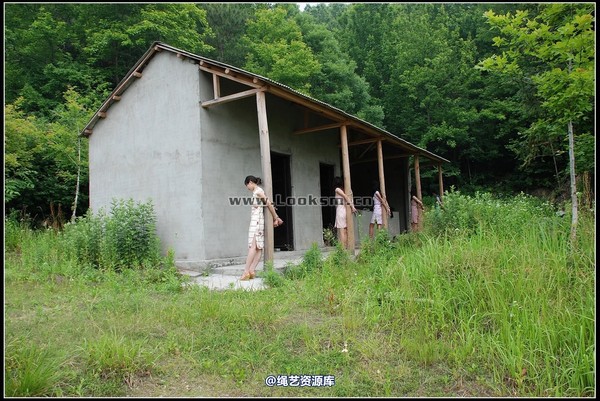 千丝万缕 - 2008-05-24日照片 第 9 张图片