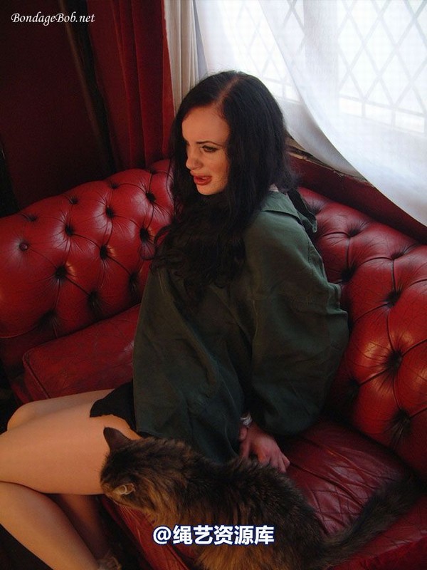 bondagebob - Morrigan It doesnt fit 第 8 张图片