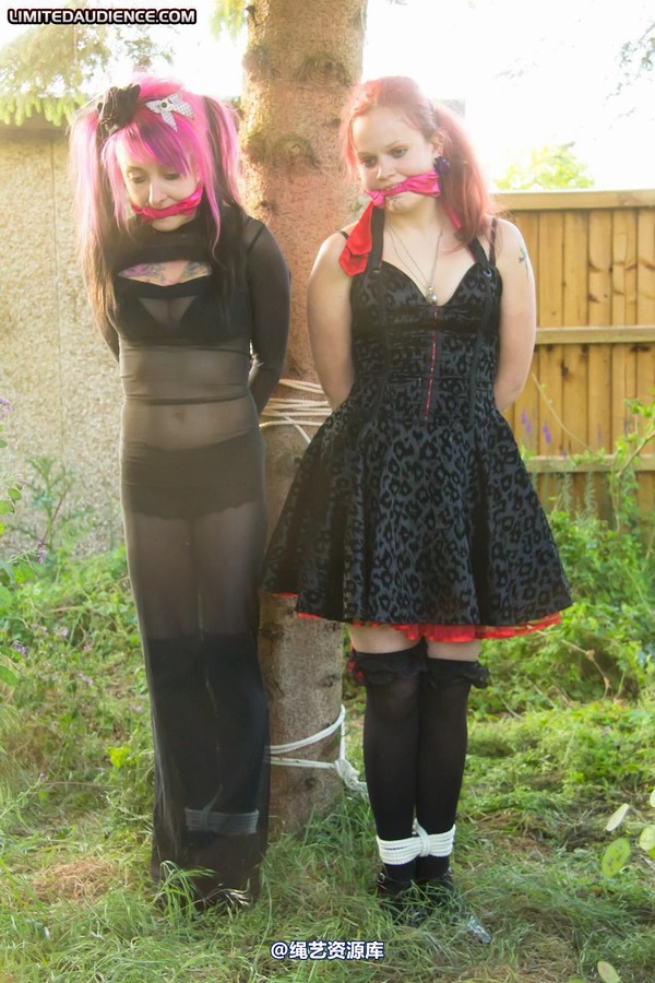 limitedaudience - 2011 beckykat loltaru moored to tree 2 第 12 张图片