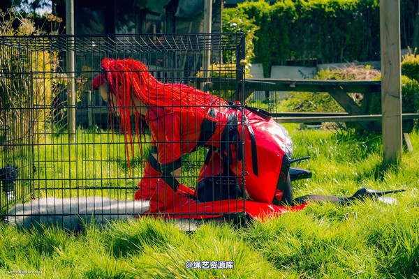 limitedaudience - 2015 raevan into the cage 第 29 张图片