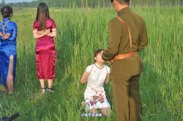 mj影视 - 凤凰烈焰 第 342 张图片