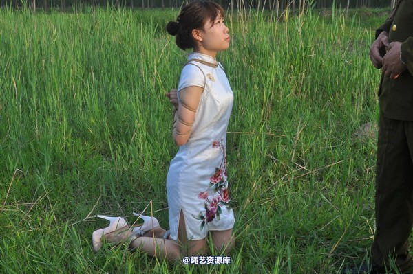 mj影视 - 凤凰烈焰 第 363 张图片