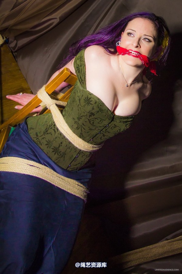 limitedaudience - 2014 caroline pierce captured damsel 第 22 张图片