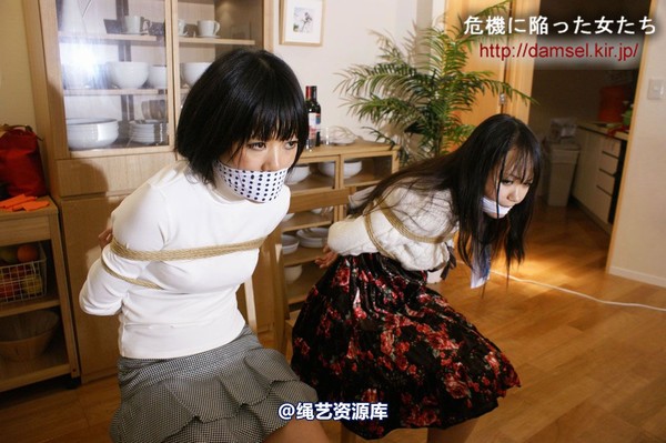 jpdamsel - 20120115 もし泥棒に�uわれたら 第 20 张图片