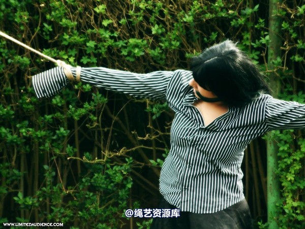 limitedaudience - 2007 nattsuko spread between trees 第 26 张图片