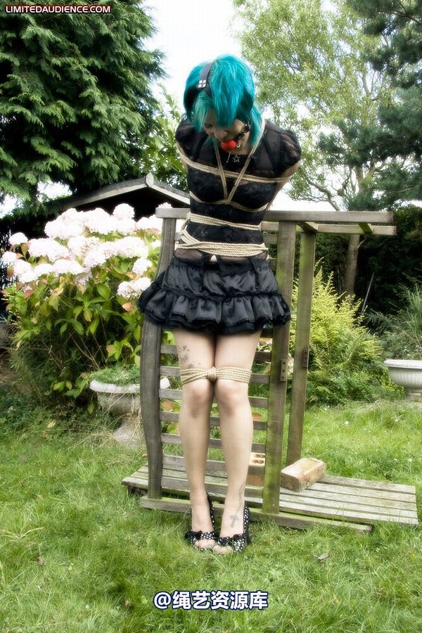 limitedaudience - 2009 b captive pixie 2 第 33 张图片