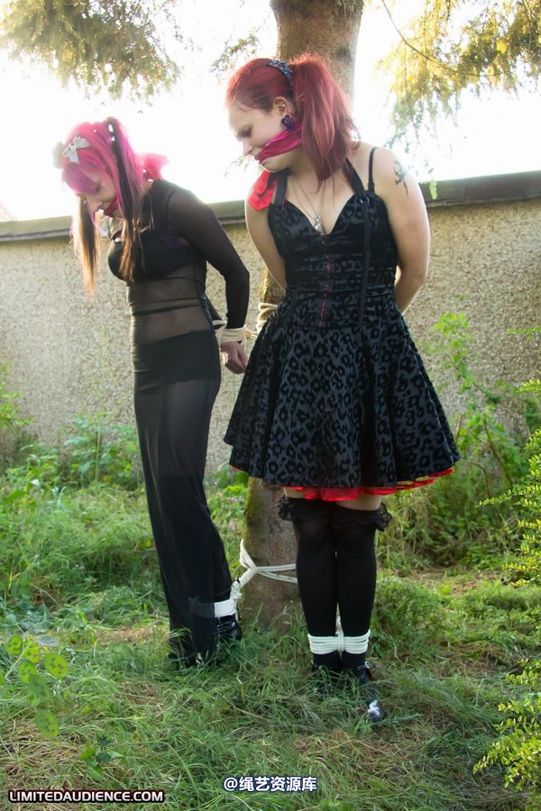 limitedaudience - 2011 beckykat loltaru moored to tree 2 第 29 张图片
