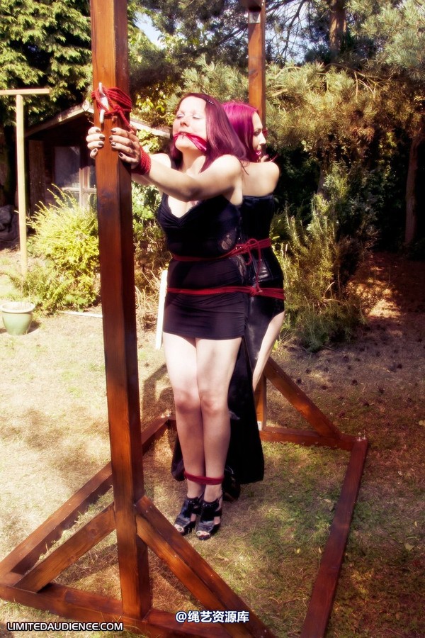 limitedaudience - 2011 elyssia violet reign two for one 2 第 17 张图片