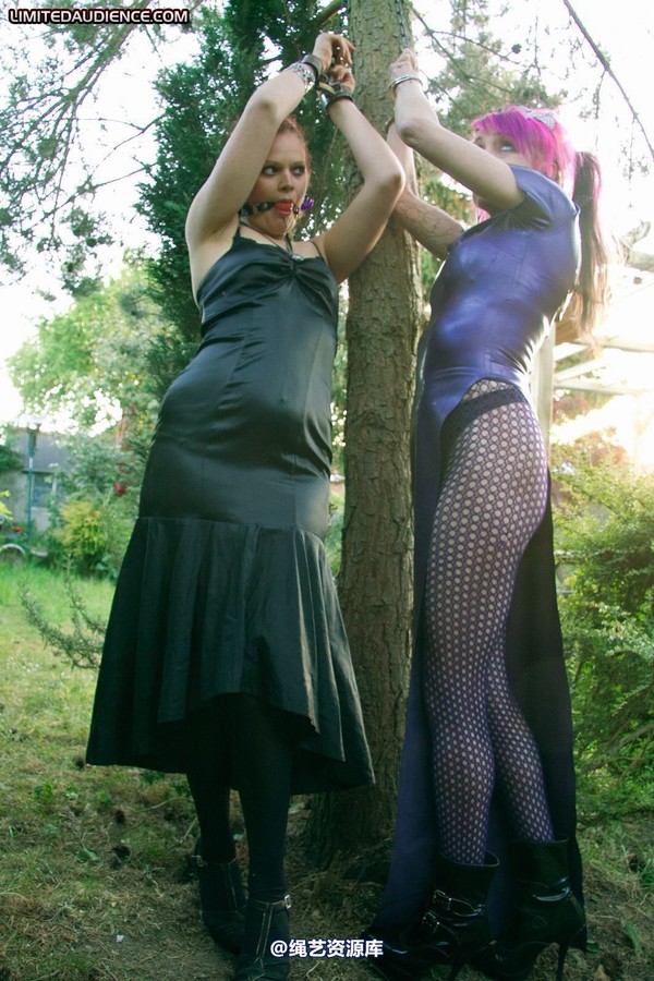 limitedaudience - 2011 beckykat loltaru chained tree seesaw 2 第 34 张图片