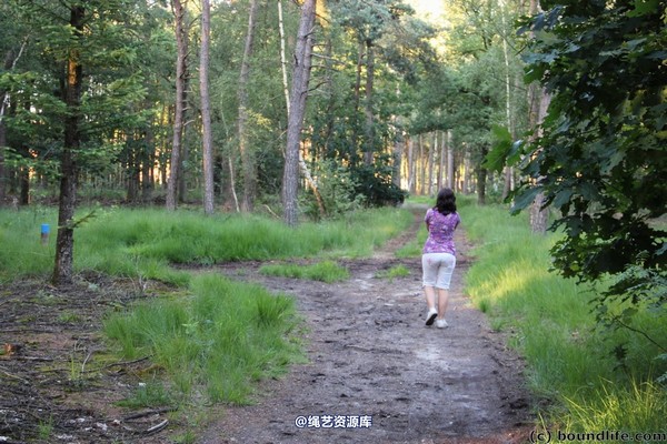 boundlife - bl247 第 40 张图片