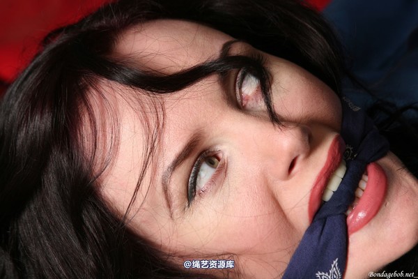 bondagebob - Morrigan Tied UP 第 116 张图片