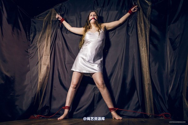 limitedaudience - 2015 alais peach spread in satin 第 23 张图片