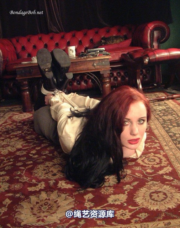 bondagebob - Morrigan Defiant! 第 17 张图片