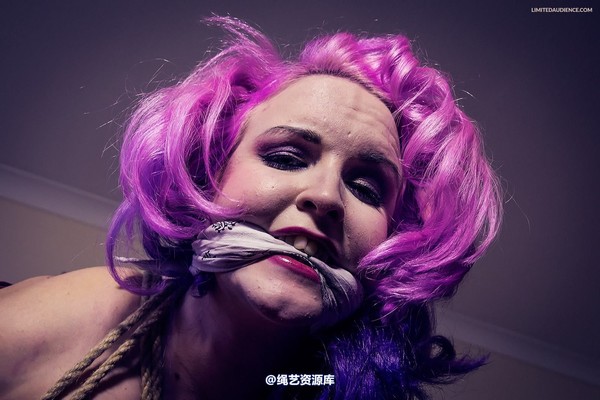 limitedaudience - 2013 assisted suicide hogtie centre piece 第 5 张图片
