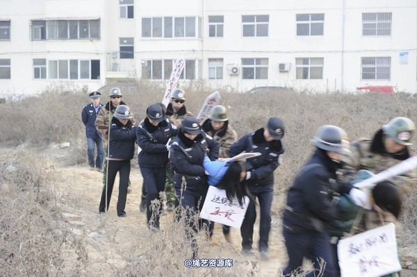 mj影视 - 2014-01-23 新春严打套图2 第 65 张图片