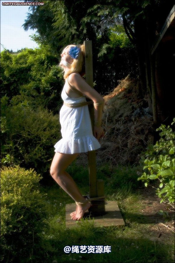limitedaudience - 2008 ariel tied in the sun 2 第 20 张图片