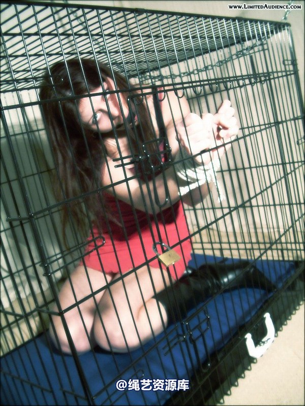 limitedaudience - 2007 scarlett tied and caged 第 29 张图片