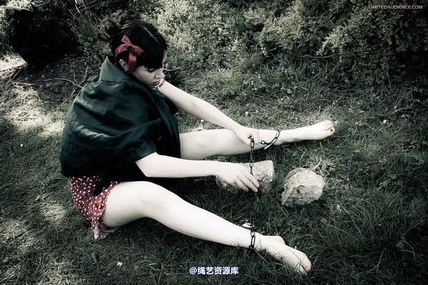 limitedaudience - 2012 dominick destruction escape and punishment 第 5 张图片