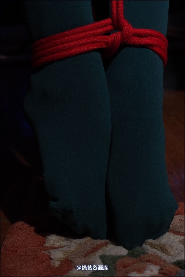 simplytied - Friends Christmas 2014 第 34 张图片