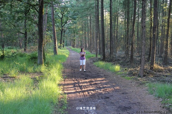 boundlife - bl247 第 6 张图片