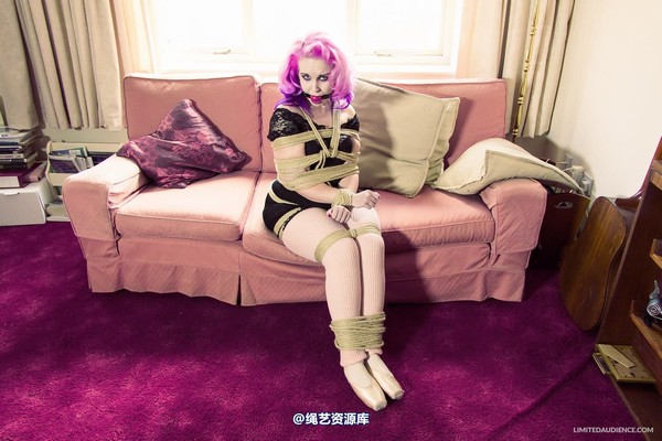 limitedaudience - 2013 assisted suicide interrupted ballet practice 2 第 28 张图片