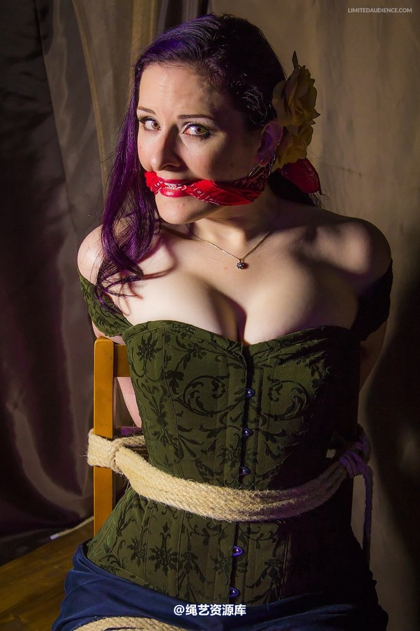 limitedaudience - 2014 caroline pierce captured damsel 2 第 13 张图片