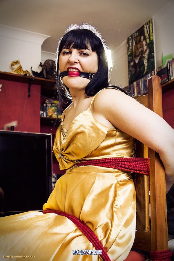 limitedaudience - 2013 dynamo golden satin 第 7 张图片