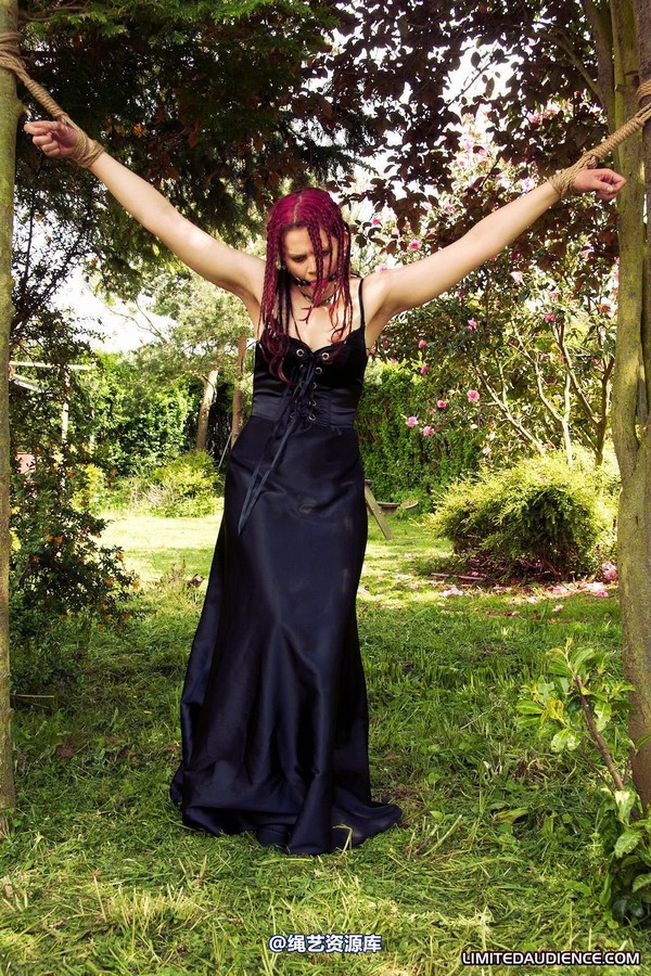 limitedaudience - 2011 beckykat between trees 2 第 26 张图片