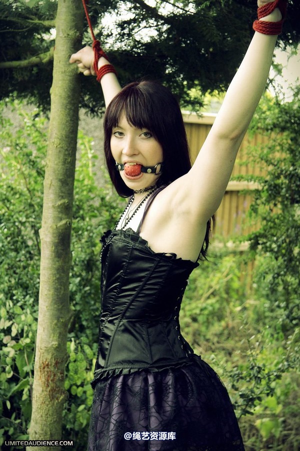 limitedaudience - 2011 syrah lee helpless outdoors 第 19 张图片