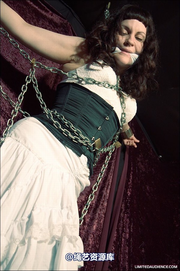 limitedaudience - 2008 veriddian chains on velvet 第 11 张图片