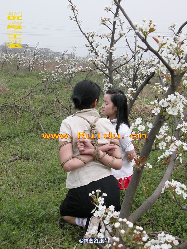 锐度主张 - 婷婷和寒冰梨花林中 第 58 张图片