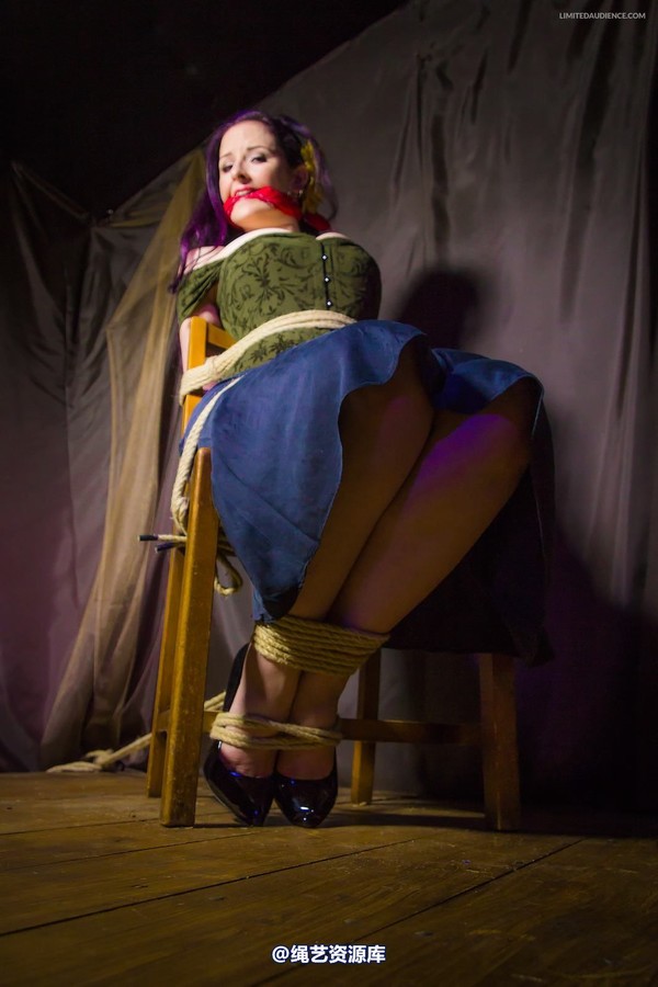 limitedaudience - 2014 caroline pierce captured damsel 第 19 张图片