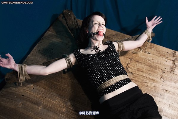 limitedaudience - 2010 luisa helpless to resist 第 18 张图片