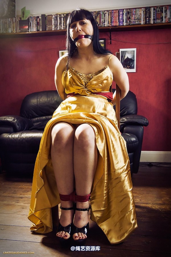 limitedaudience - 2013 dynamo golden satin 第 21 张图片