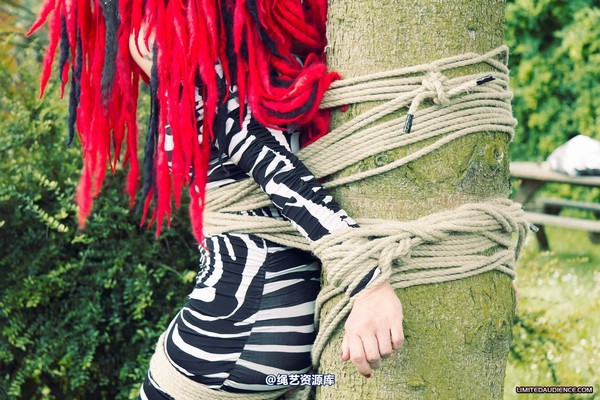 limitedaudience - 2012 andromedax bound to a tree 第 3 张图片