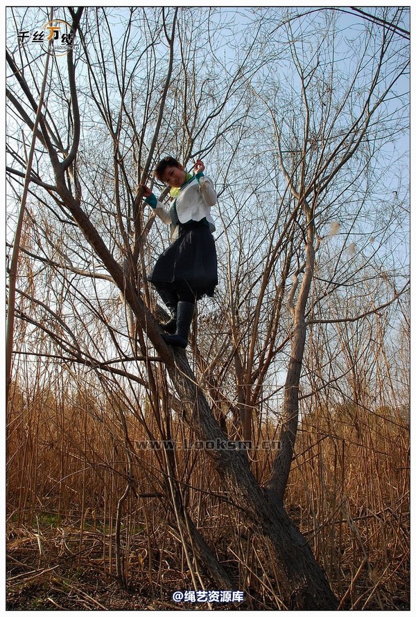 千丝万缕 - 2008-02-29日照片 第 62 张图片