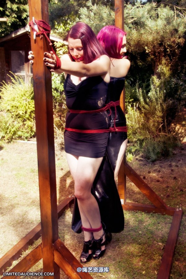 limitedaudience - 2011 elyssia violet reign two for one 2 第 22 张图片