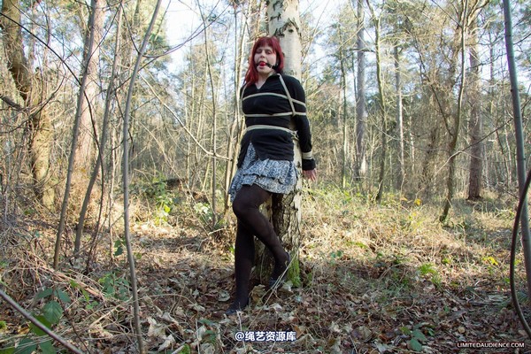 limitedaudience - 2012 scarlett stuck in the woods 2 第 15 张图片