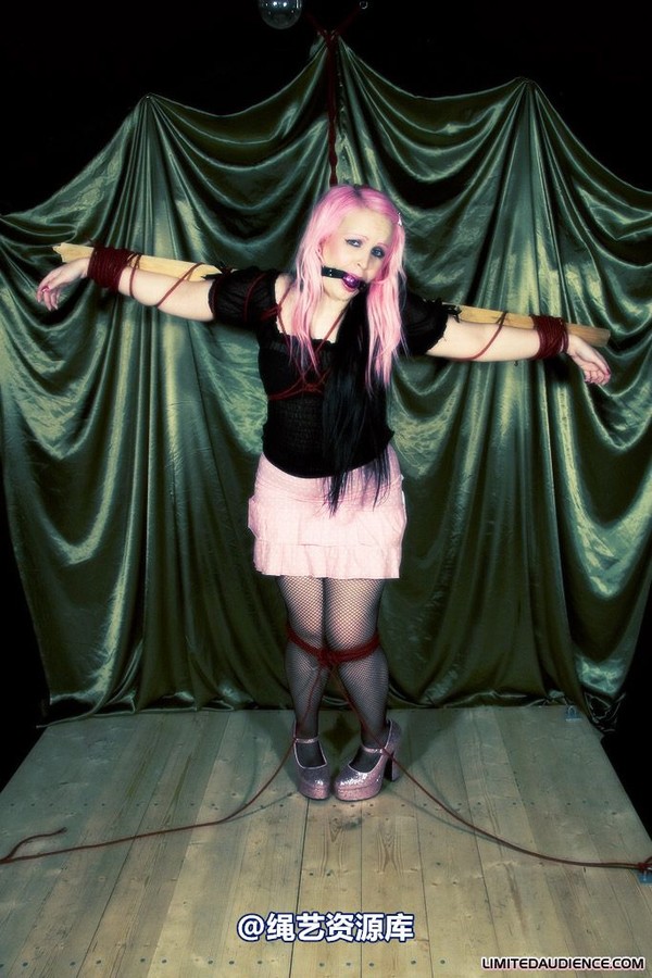 limitedaudience - 2009 assisted suicide profoundly entangled 2 第 12 张图片