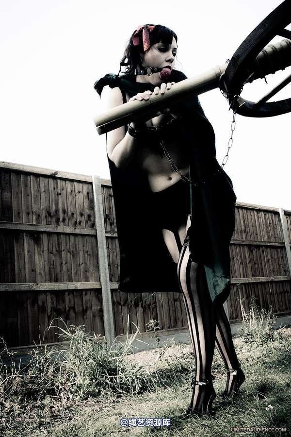 limitedaudience - 2012 dominick destruction escape and punishment 第 13 张图片